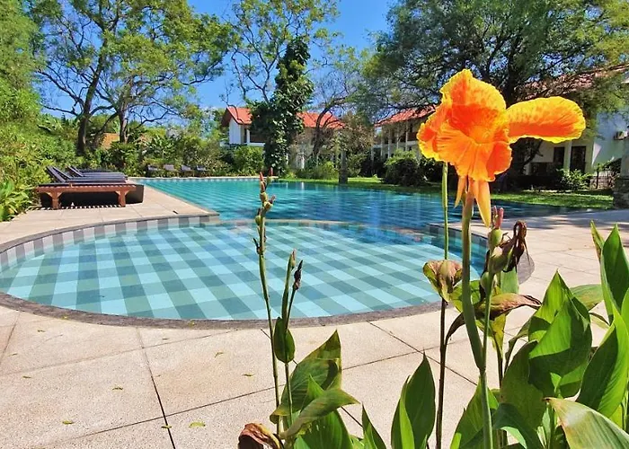 Blue Turtle Hotel