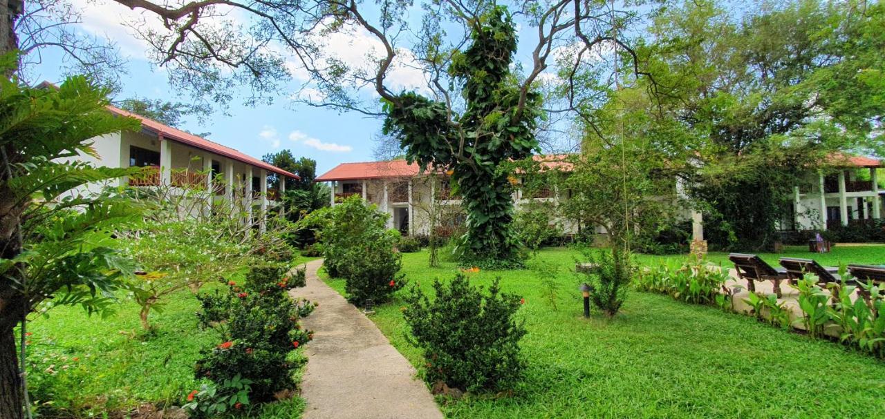 Hotel Blue Turtle