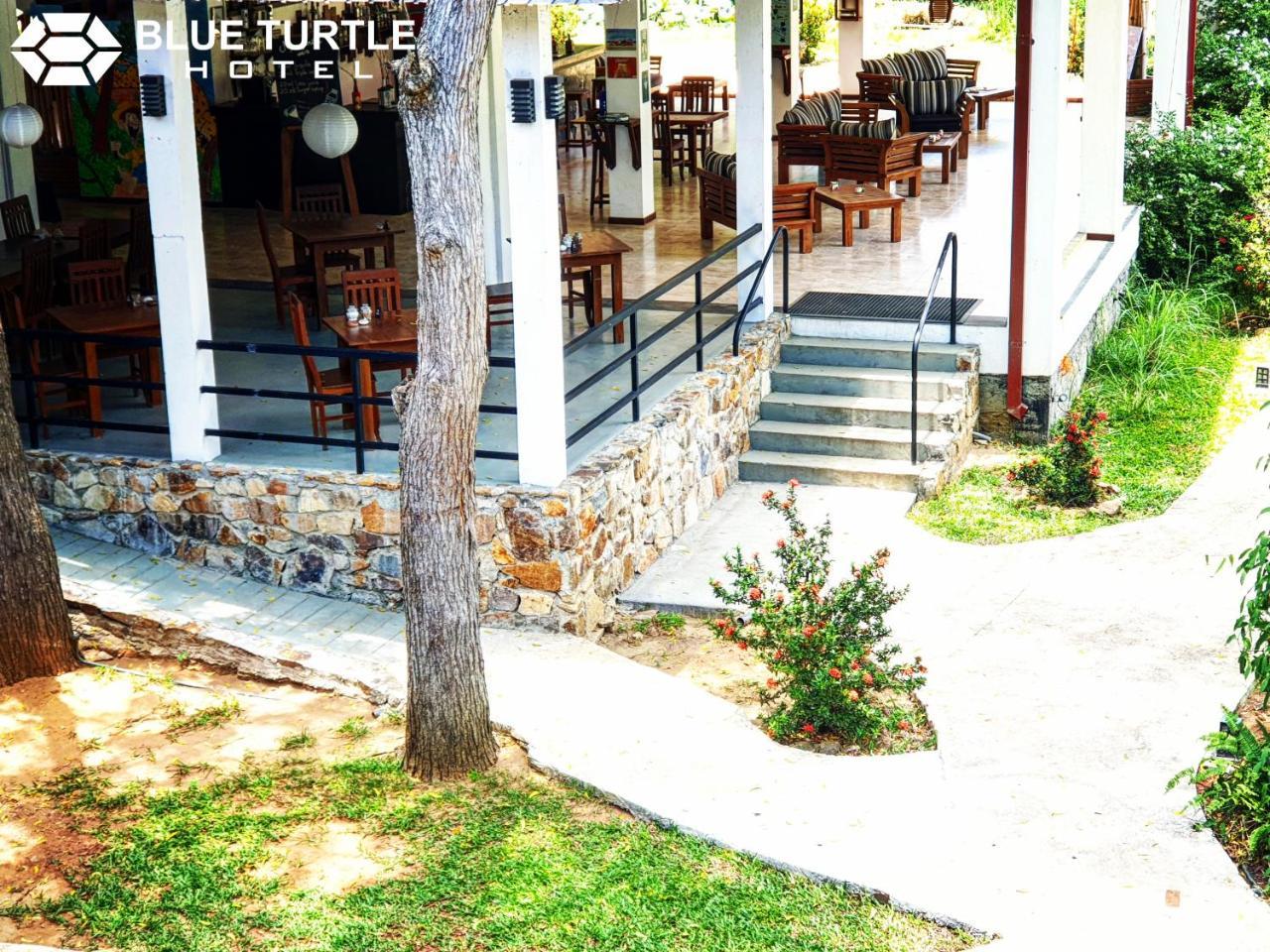 Blue Turtle